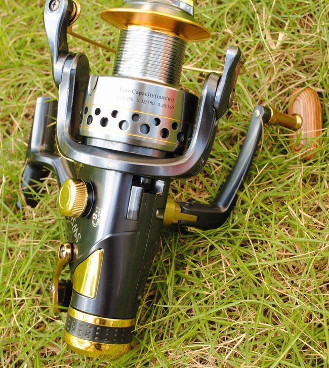 SW50 60 fishing reel - Big Dog Sporting Goods