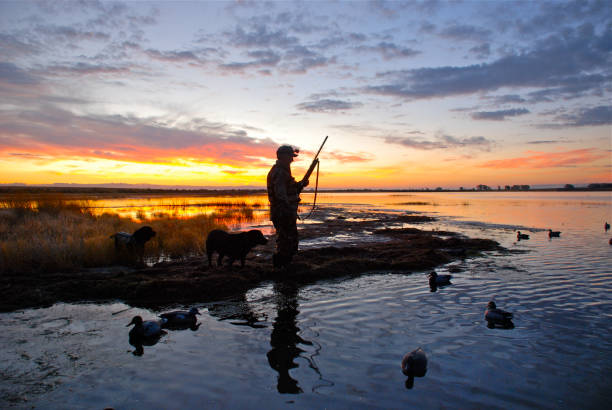 The Ultimate Guide to Deer Hunting: Tips, Gear, and Strategies