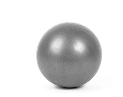 Scrub Yoga Balls Pilates Balls - Big Dog Sporting Goods