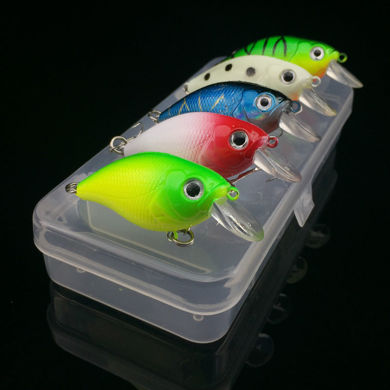 5Pc Fishing Lure 5 Color Minnow - Big Dog Sporting Goods