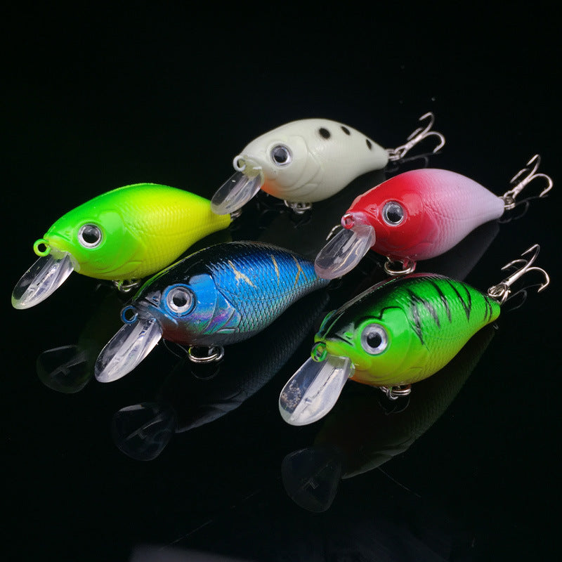 5Pc Fishing Lure 5 Color Minnow - Big Dog Sporting Goods