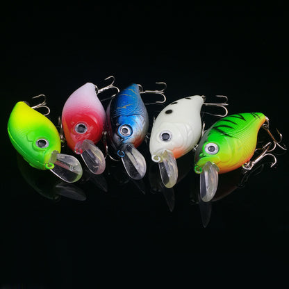 5Pc Fishing Lure 5 Color Minnow - Big Dog Sporting Goods