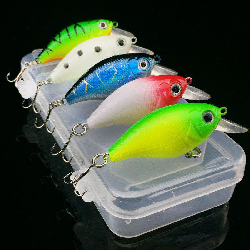 5Pc Fishing Lure 5 Color Minnow - Big Dog Sporting Goods