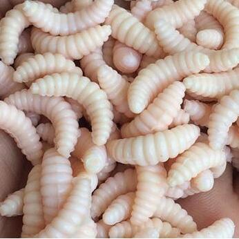 50pcs artificial soft maggot grub fishing lure - Big Dog Sporting Goods